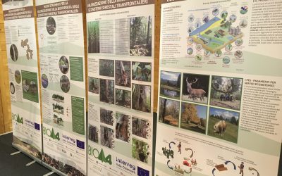 Großes Interesse für das Projekt BIOΔ4 auf der FIERA E FESTIVAL DELLE FORESTE